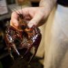 live crawfish fresh from Louisiana