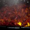 a pot of boiled crawfish (available during the spring season)